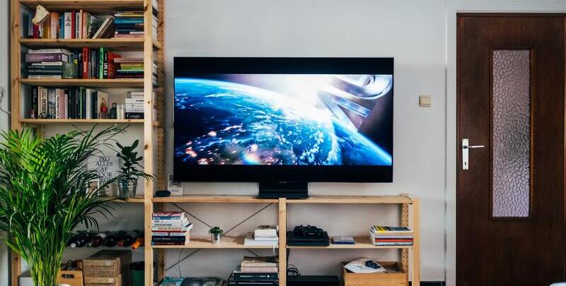 Television standing on top of a wooden cabinet. There is a bookshelf and leafy green plant to the left and the door to the right.